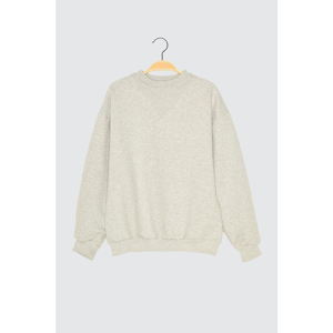 Trendyol Gray Upright Collar Basic Knitted Sweatshirt