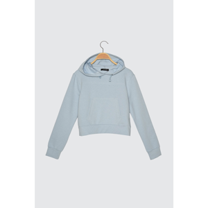 Trendyol Blue Hooded Basic Knitted Sweatshirt
