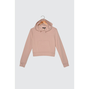 Trendyol Powder Hooded Basic Knitted Sweatshirt