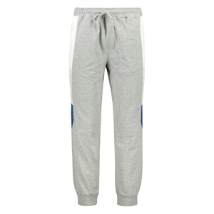 Trendyol Gray Men's Tracksuit Bottom