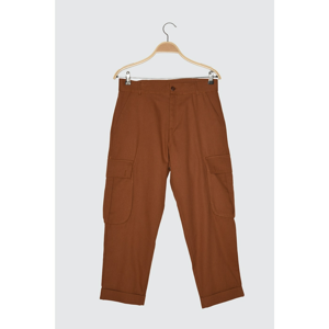 Trendyol Camel Men's Pants