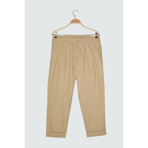 Trendyol Pants - Beige - Carrot pants