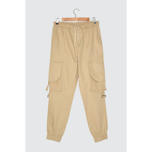 Trendyol Beige Men's Pants