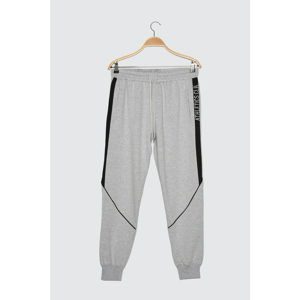 Trendyol Regular Fit Tracksuit bottom