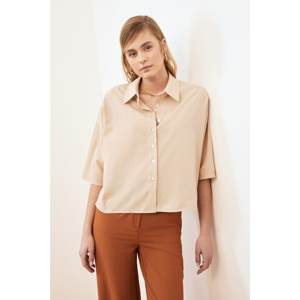 Trendyol Mink Basic Shirt