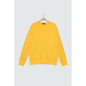 Trendyol Yellow Male Sweatshirt