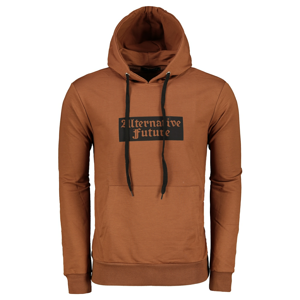 Trendyol Brown Male Sweatshirt