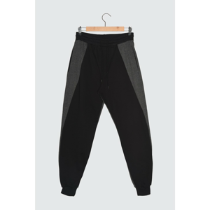 Trendyol Black Men's Tracksuit Bottom