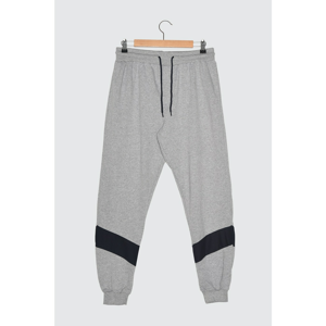 Trendyol Gray Men's Tracksuit Bottom