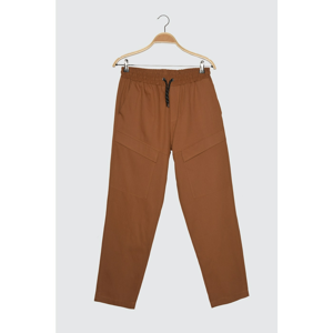 Trendyol Camel Men's Pocket Detail Pants