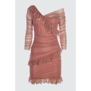 Trendyol Rose Dry Lace Detailed Tulle Dress