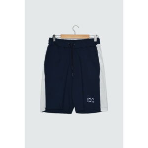 Trendyol Navy Men's Regular Fit Shorts & Bermuda