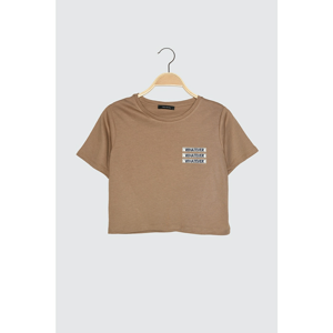 Trendyol Crop Knitted T-Shirt