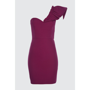 Trendyol Purple Collar Assynx Detail Dress