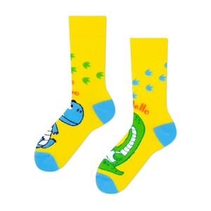 Ponožky Frogies Happy Dino