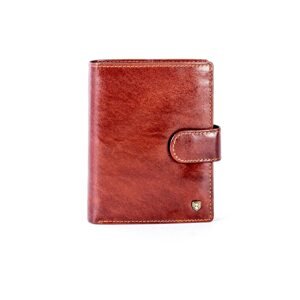 Brown leather wallet with a latch