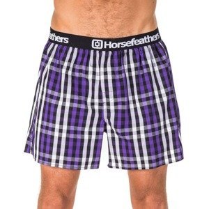 Men's shorts Horsefeathers Apollo deep violet (AA1036A)