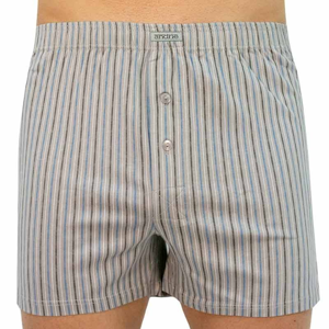 Men&#39;s shorts Andrie gray (PS 5346 B)