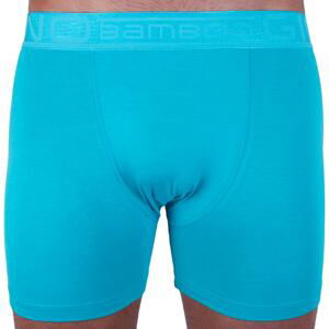 Men boxers Gino turquoise (74117)