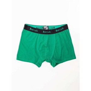 Green men's boxer shorts