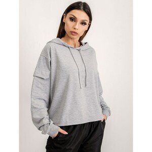 Gray BSL hoodie