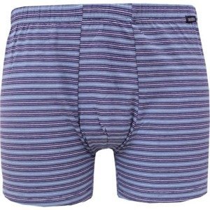 Men&#39;s boxers Andrie blue-gray (PS 5376 B)