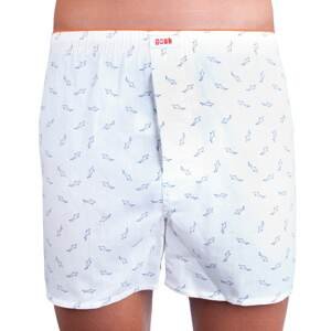 Men&#39;s shorts Gosh white (G24)