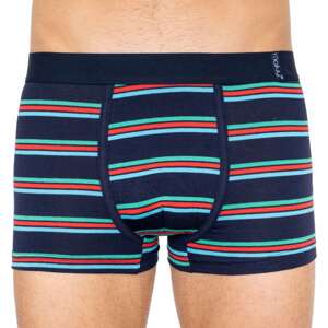 Men's boxer shorts Molvy multicolor