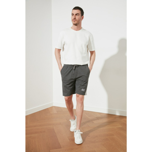 Trendyol Anthracite Men's Regular Fit Shorts & Bermuda