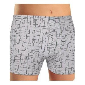 Men&#39;s boxers Andrie gray (PS 5435 B)