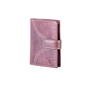 Brown leather wallet for a man