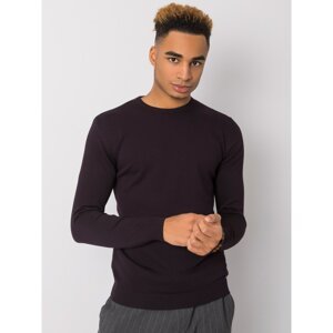 Dark purple men's sweater LIWALI