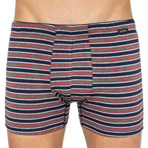Andrie men&#39;s boxers multicolored (PS 5434 A)