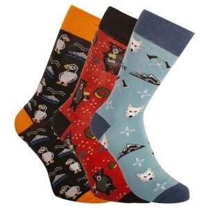 3PACK socks crazy Bellinda multicolor (BE491004-308)