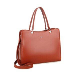 LUIGISANTO Brown elegant handbag