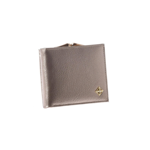 Elegant small gold wallet with a hook clasp