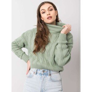Ladies pistachio turtleneck sweater