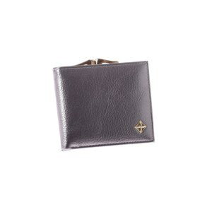 Silver small elegant wallet with a hook clasp