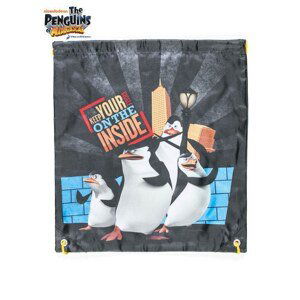 Backpack type sack with an imprint of Penguins from Madagascar