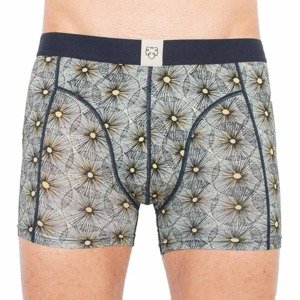 Men&#39;s boxers A-dam multicolored (JOHANNES)