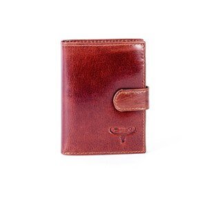 Brown leather wallet fastened with a latch