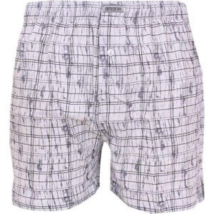 Men&#39;s shorts Andrie light gray (PS 5464 B)