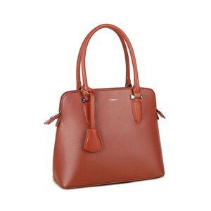 LUIGISANTO Brown eco-leather handbag for women