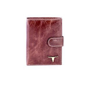 Men´s shaded brown flap wallet