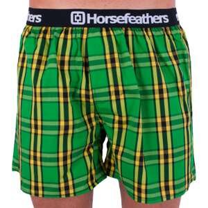 Men&#39;s shorts Horsefeathers Apollo brasil (AA536M)