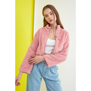 Trendyol Rose Dry Upright Collar Crop Plush Coat