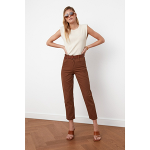 Trendyol Camel Belt Pants