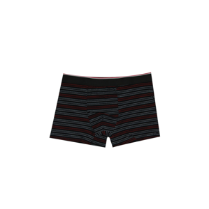 TXM MEN’S BOXER BRIEFS