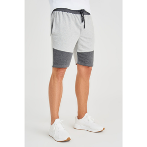 Trendyol Grey Men's Panel Shorts & Bermuda