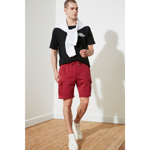 Trendyol Burgundy Men's Regular Fit Striped Shorts & Bermuda